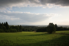 IMG_15800