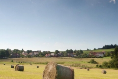 image-51